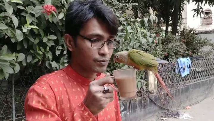 চায়ের কাপে ঠোঁট ভেজাতে পাখির বন্ধুত্ব!