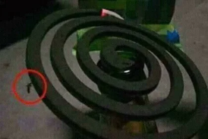 ১ বার সীলগালা ৩ বার জরিমানা তবু চলছে পান্না পাড়ায় পরিবেশ বিধ্বংসী কয়েল ফ্যাক্টরী