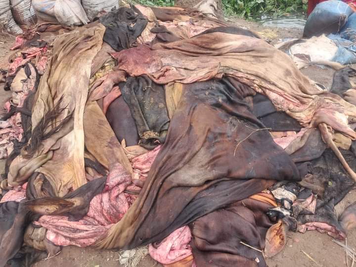 চামড়া ব্যাবসায় এবার মৌসুমি ব্যাবসায়ীরা হতাশ