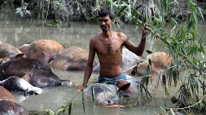 ঐতিহাসিক ভয়াল ২৯ এপ্রিল