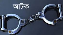 কুড়িগ্রামের সীমান্ত দিয়ে বিএসএফের ঠেলে দেয়া ১২ বাংলাদেশী আটক